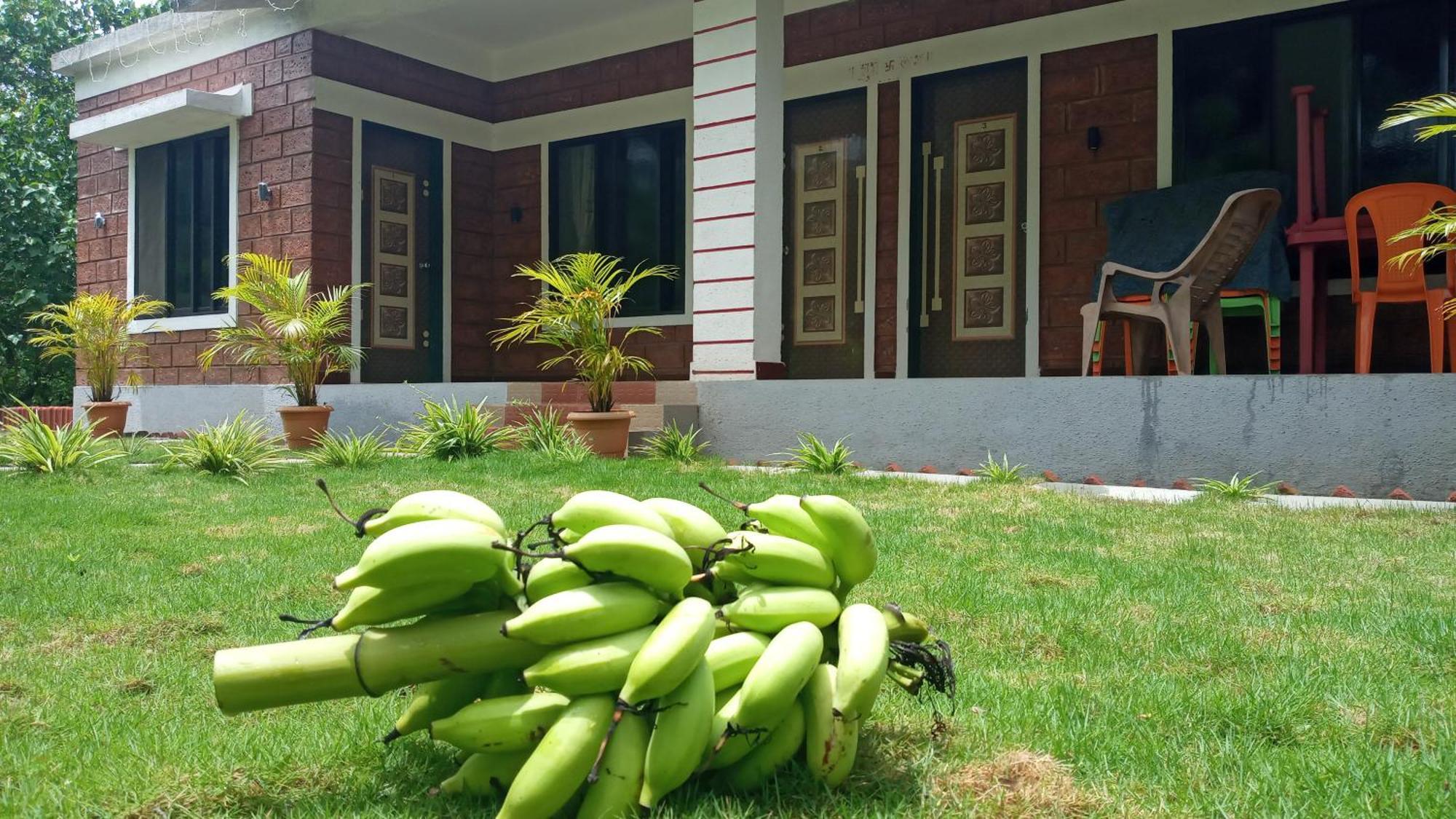 Coconut Village Resort Alibag Bagian luar foto