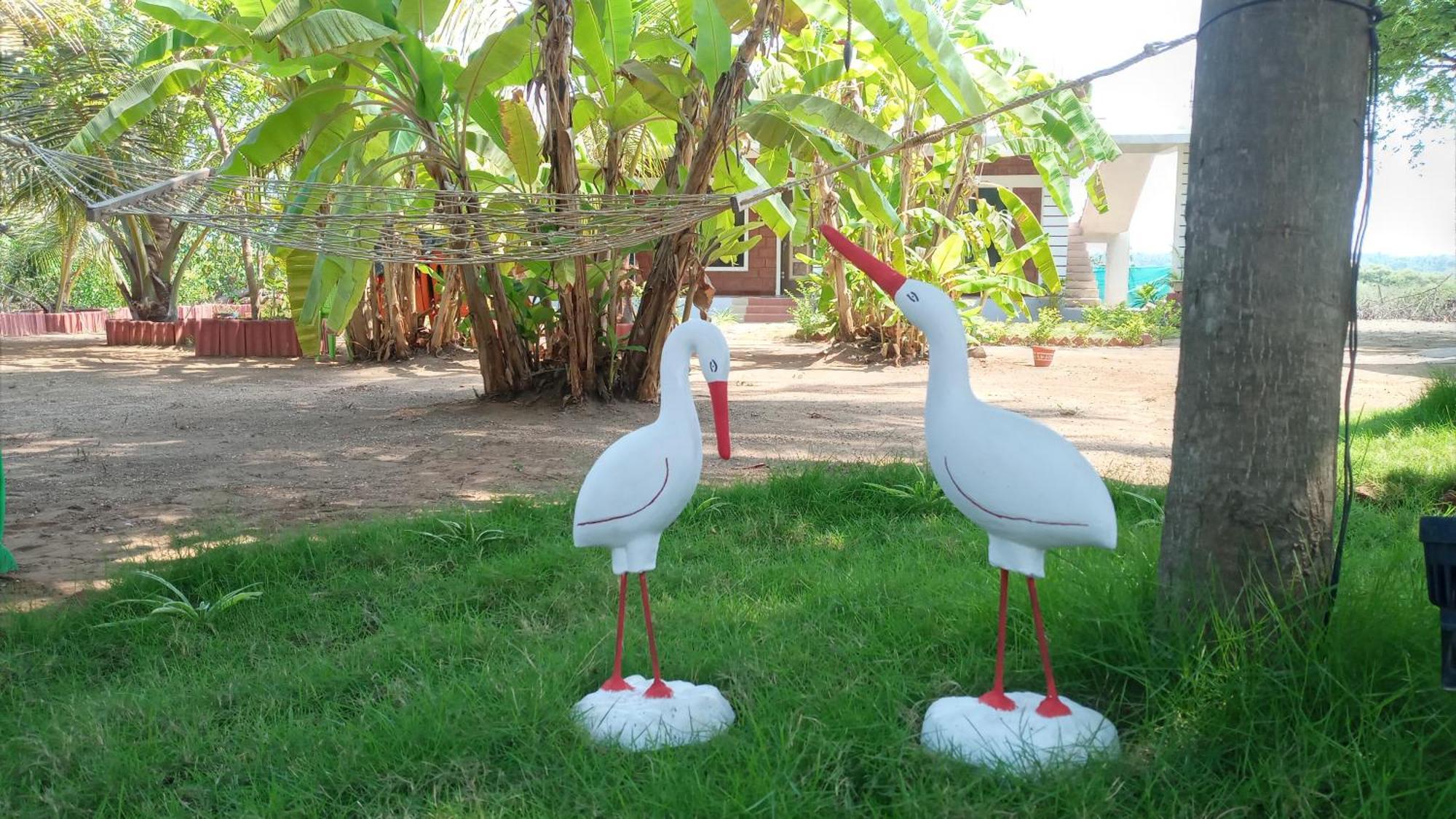 Coconut Village Resort Alibag Bagian luar foto