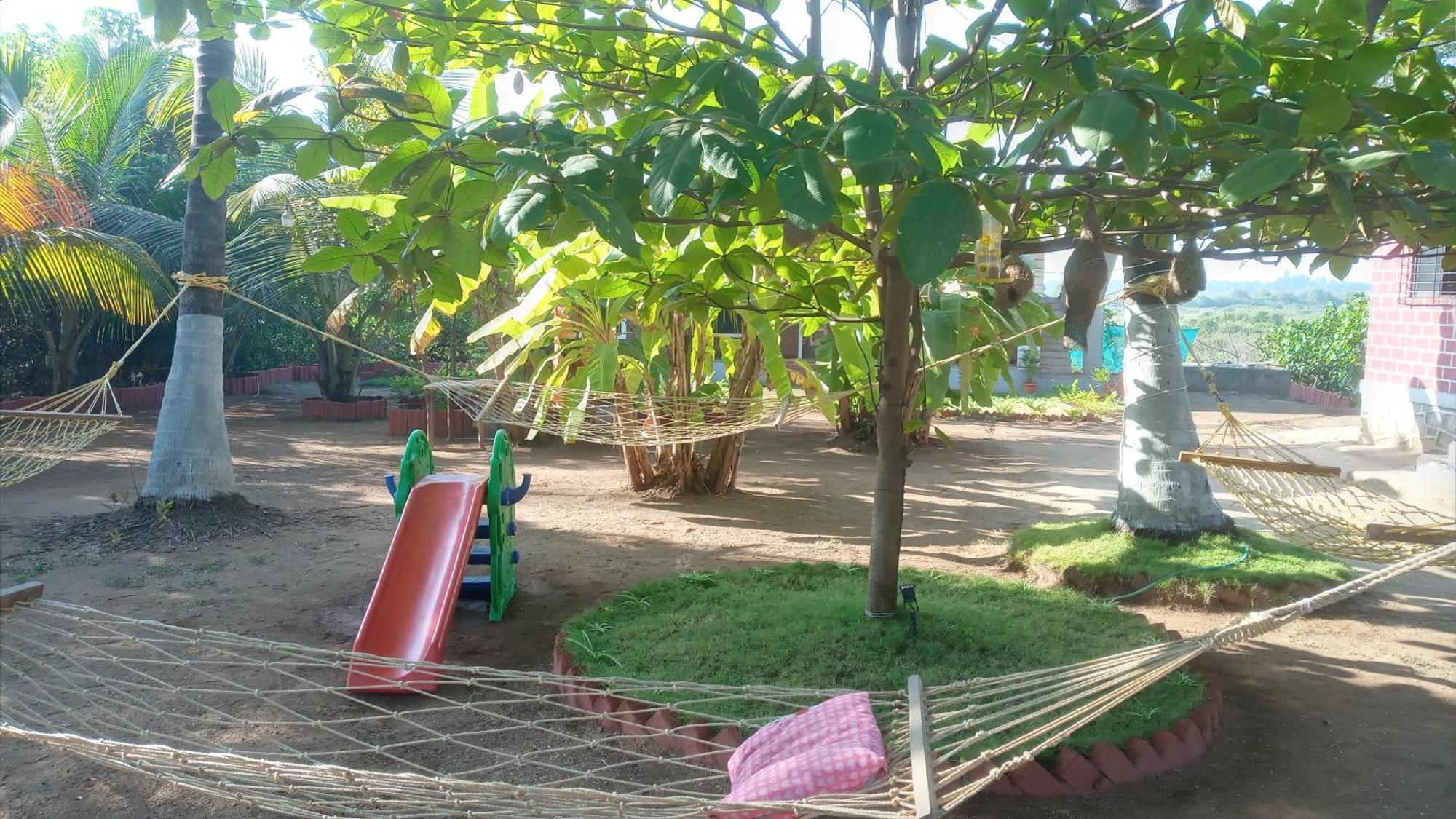 Coconut Village Resort Alibag Bagian luar foto