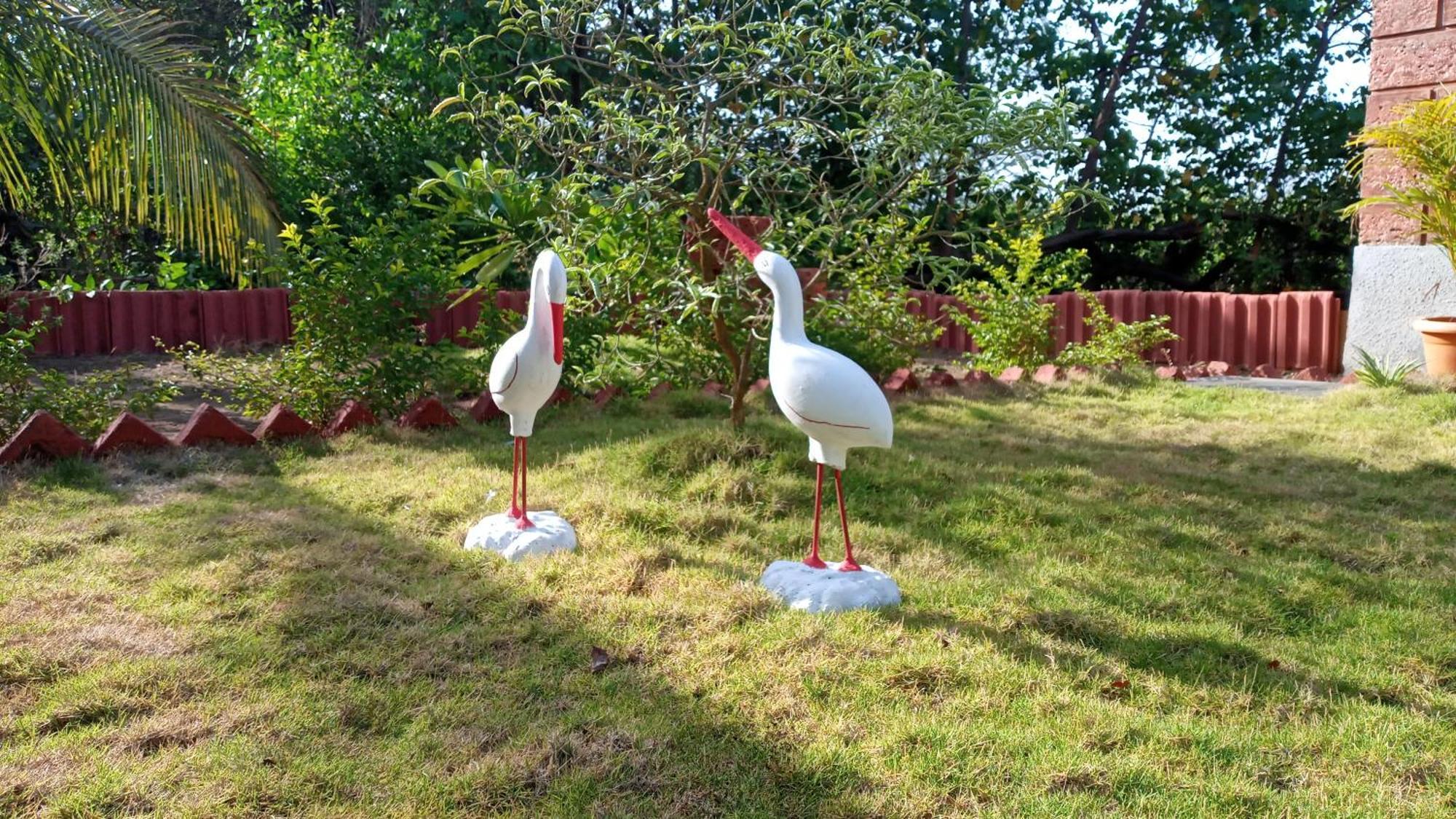 Coconut Village Resort Alibag Bagian luar foto